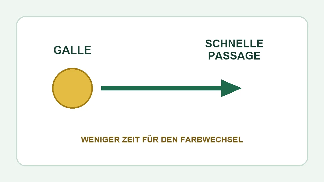Corona gelber Durchfall – schnelle Darmpassage lässt weniger Zeit für den Farbwechsel.