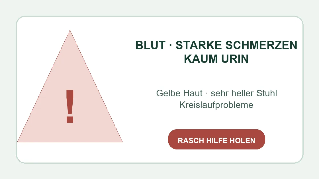 Corona gelber Durchfall – Blut, starke Schmerzen, kaum Urin und Gelbsucht als Warnzeichen.