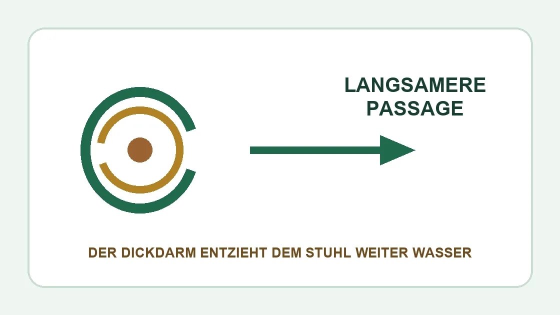 Corona Verstopfung – langsamere Darmpassage lässt den Stuhl trockener werden.
