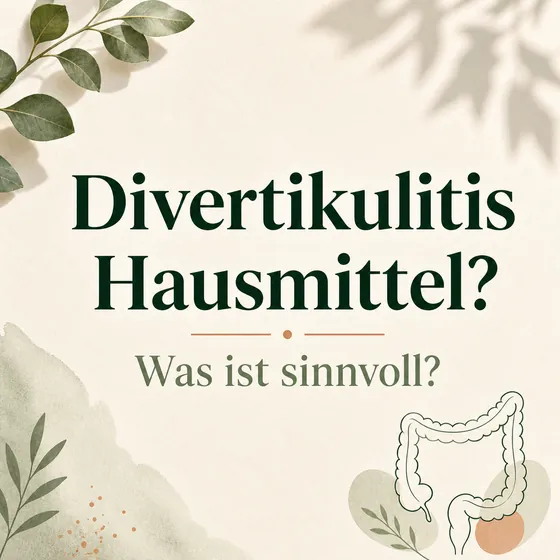 Divertikulitis Hausmittel – Zentrierte Frage nach sinnvollen Maßnahmen neben einer stilisierten Darstellung des Dickdarms.