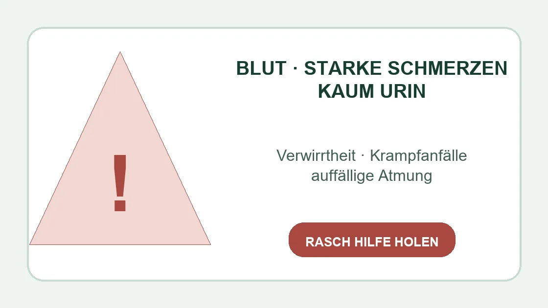 Durchfall nach Alkohol gutefrage – Blut, starke Schmerzen und auffällige Atmung als Warnzeichen.