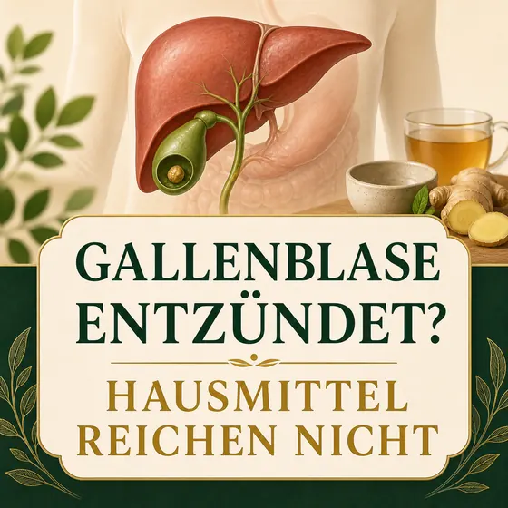 Gallenblasenentzündung Hausmittel – entzündete Gallenblase und Hinweis, warum Hausmittel nicht ausreichen.