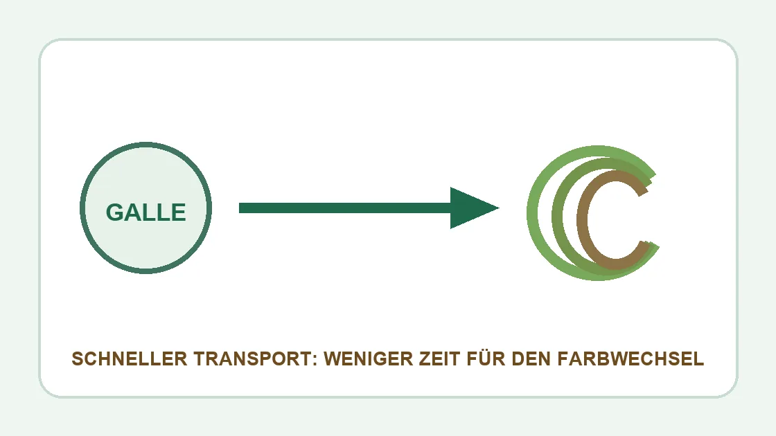Grüner Stuhlgang Corona – Galle und schnelle Darmpassage können den Farbton erklären.
