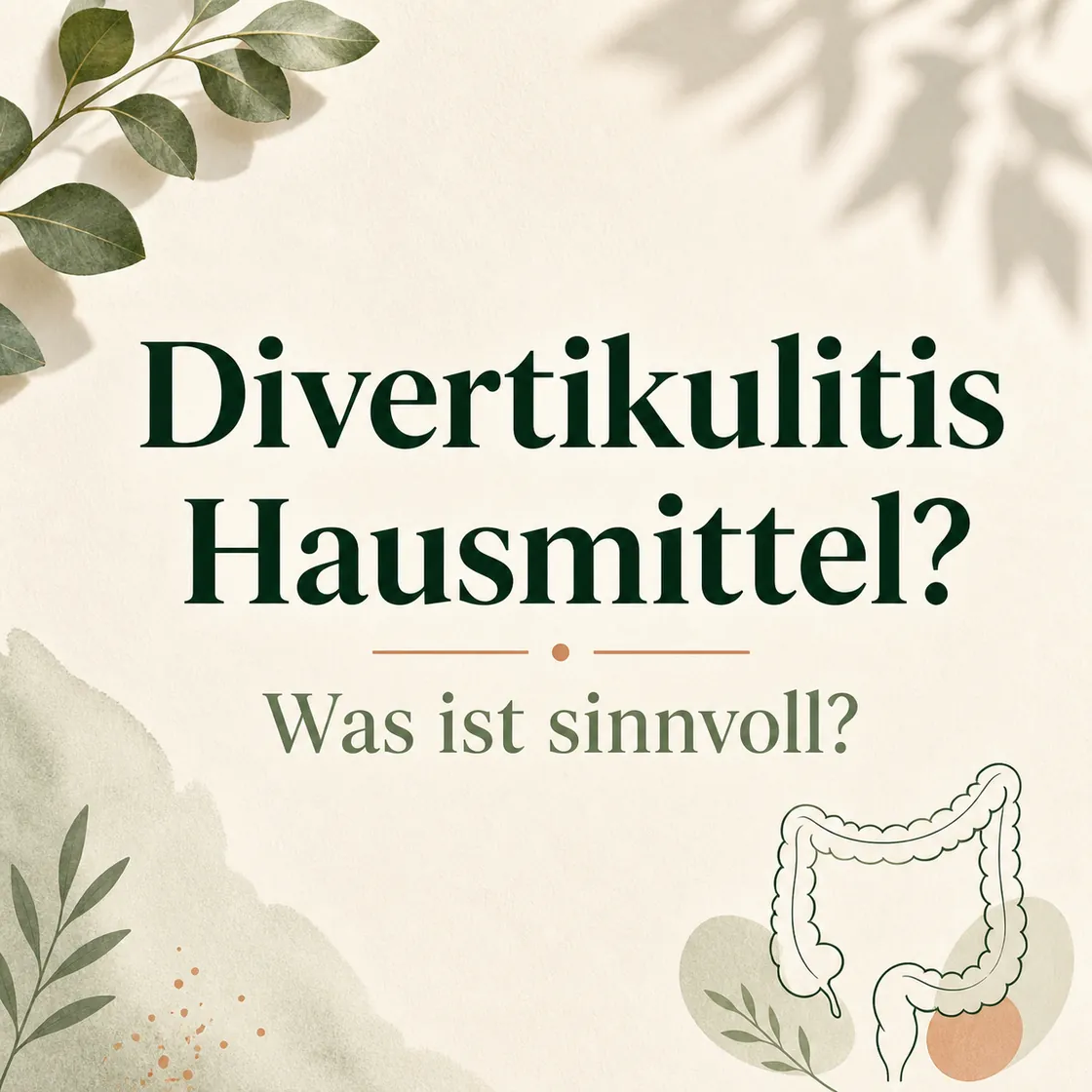 Divertikulitis Hausmittel – Zentrierte Frage nach sinnvollen Maßnahmen neben einer stilisierten Darstellung des Dickdarms.